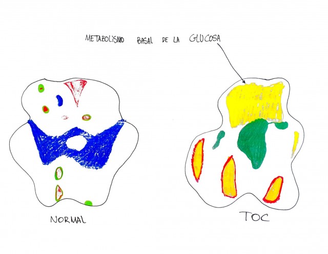 TOC-NEUROBIO